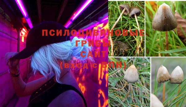 мяу мяу кристалл Арсеньев