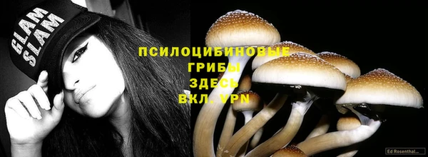 герыч Аркадак