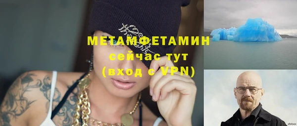 прущие грибы Нея