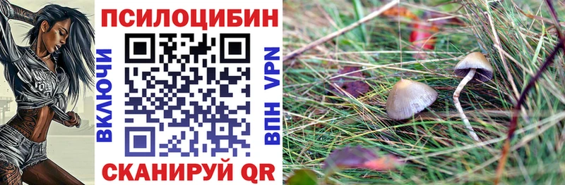 Галлюциногенные грибы Cubensis  Тимашёвск 